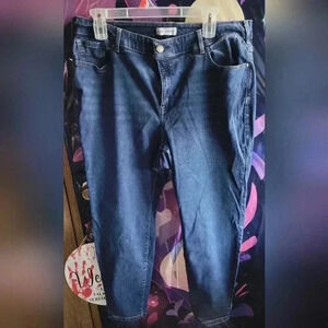 BOGO🆓 -Lane Bryant Plus Size Women's Denim